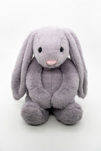 Load image into Gallery viewer, Weighted Stuffed Animals