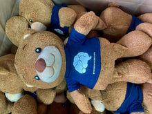 Load image into Gallery viewer, Teddy Bear