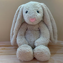 Load image into Gallery viewer, Weighted Stuffed Animals
