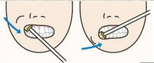 Load image into Gallery viewer, Oral Care Sponge