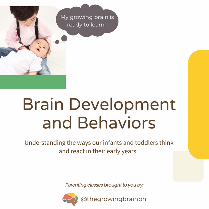 Brain Development and Behaviors