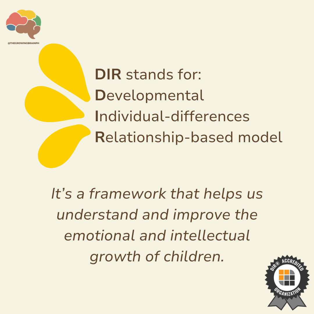 What is DIR and DIR Floortime? – The Growing Brain PH