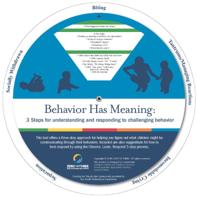 Understanding Behaviors – The Growing Brain PH